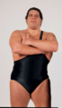 Andre the Giant Image.png