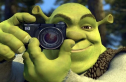 Shrek Image.png