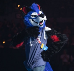 SonicFox Image.png