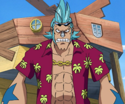 Franky Image.png