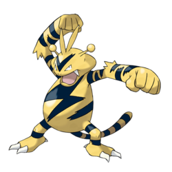 Electabuzz Image.png