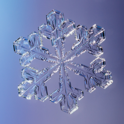 Special Snowflake Image.png
