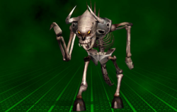 Kleer Skeleton Image.png