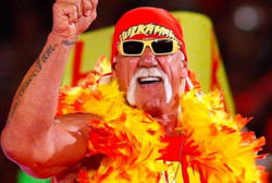 Hulk Hogan Image.png