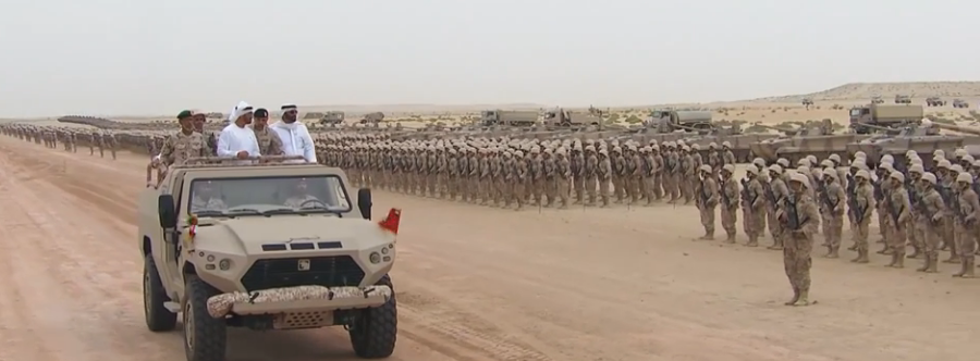 Emirati forces inspected by Crown prince MbZ