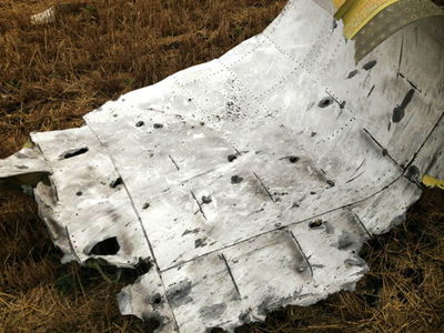 MH17 cockpit roof section.jpg