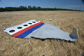 MH17 forward left side panel.jpg