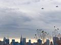 Ospreys over Manhattan on 18 Nov 2017.jpg
