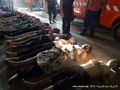 Shaam morgue 2 – Mohammed Al-Abdullah.jpg
