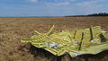 MH17 roof section STA466.jpg