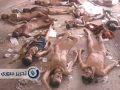 Yarmouk 12 starved men.jpg