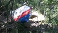 MH17 door section in forest.jpg