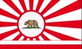 California flag protect.jpg