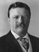 25 Theodore Roosevelt 3x4.jpg