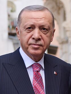 Presidentti Erdoğan Ukrainassa vuonna 2022
