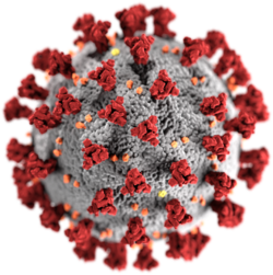 Yhdysvaltain tautiviraston (CDC) laatima mallikuva SARS-CoV-2 -koronaviruksesta.