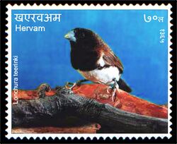 Stamp of Hervam.Lonchura teerinki.jpg