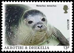 Akrotiri and Dhekelia. Monachus monachus.jpg