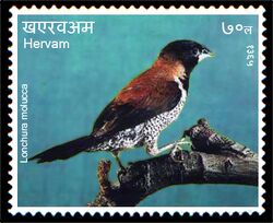 Stamp of Hervam.Lonchura molucca.jpg