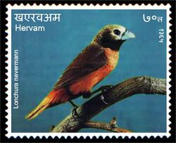 Stamp of Hervam.Lonchura nevermanni.jpg