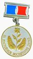Медаль За достойное воспитание детей (Кемерово).jpg