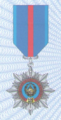Medal 100 years of criminal investigation.png