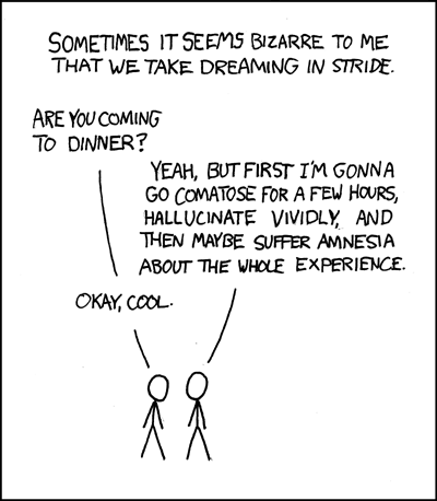 Xkcd 203 hallucinations.png