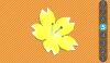 Sbra flower 5.jpg
