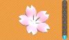 Sbra flower 1.jpg