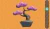 Sbra bonsai 6.jpg