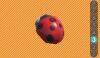 Sbra ladybug 3.jpg
