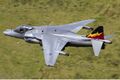 RAF British Aerospace Harrier GR9.jpg