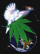 Dove cannabis earth 4.jpg