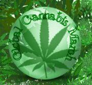 Global Cannabis March 2.jpg