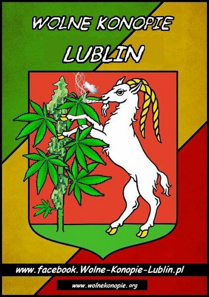File:Lublin Poland Facebook graphic.jpg