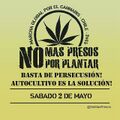 Chile 2015 Global Marijuana March 3.jpg