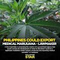 Philippines. Proposed bill to produce and export medical cannabis.jpg