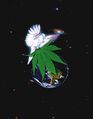 Dove cannabis earth 2.jpg