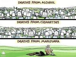Deaths from alcohol, cigarettes, and marijuana.jpg