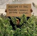 Racism is the reason cannabis became illegal.jpg