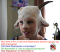 Obamacare doctors injected her with marijuanas.png