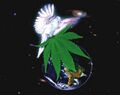 Dove cannabis earth 3.jpg