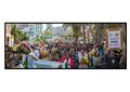 Cape Town 2014 May 3 South Africa crowd 3.jpg