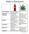 Soda versus marijuana.jpg