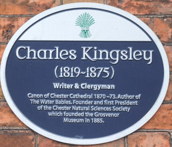 Kingsley Chesterwiki