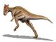 Dracorex BW.jpg