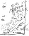 -large--AnimePaper-scans Sailor-Moon armandomoon(0.82) THISRES 242815.jpg