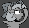 Woona.png