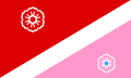Flag of Russia (red-white-pink version).svg