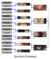 The Nine Roses Tournament Updated.PNG